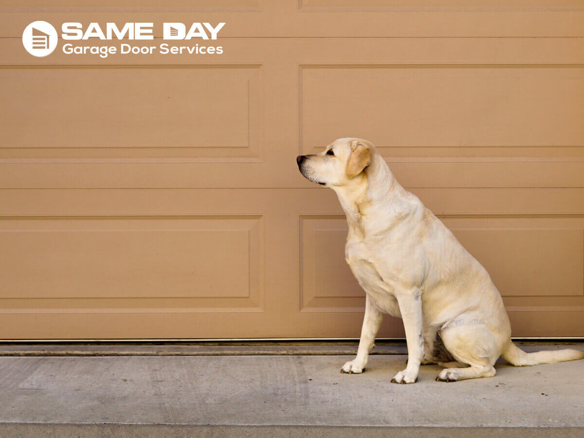 How To Choose A New Garage Door For Your Family & Pet's Safety In Arizona